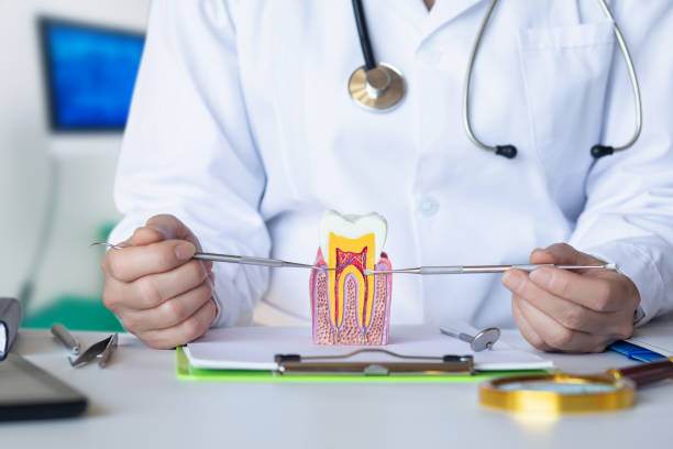 Best Emergency Wisdom Tooth Extraction in South Shore, KY
